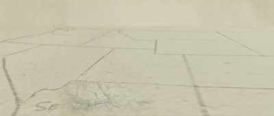 We can trace it from here right through New Mexico, - Is Genesis History?