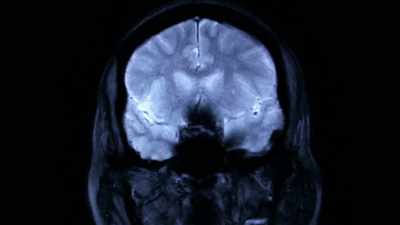 We can tweak a skin cell
and turn it into a brain cell - Origins: The Journey of Humankind