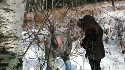 - We can use some of these
branches to cover it. - The Disappearance of Maura Murray
