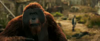 We cannot take her MauriceI understandBut I cannot leave her - War for the Planet of the Apes