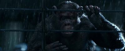 We can't leave without you - War for the Planet of the Apes