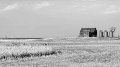 We can't,
we have to farm wheat." - It’s Quieter in the Twilight