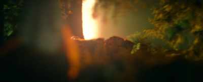 We celebrate Walpurgis night, - The Little Witch