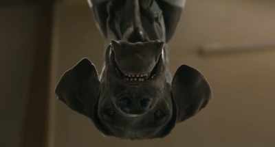 - ♪ We clawed, we chained ♪
- (growling) - Strays