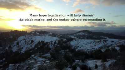 We continued to grow marijuana
against the biggest-organized, - Murder Mountain