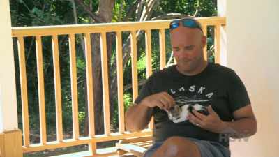 We definitely can't
adopt any more cats - Island of Bryan