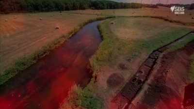 We did a test excavation in 1996, - Curse of the Ancients with Alice Roberts