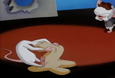 WE DID IT, PINKY! - Animaniacs