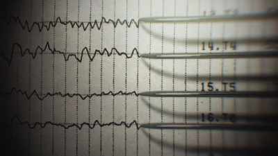 We did not find any gross
neurological problems, - Crazy, Not Insane