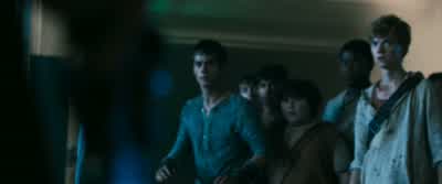 We did. - The Maze Runner