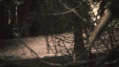 - We didn't want to have
a situation - Unabomber: In His Own Words