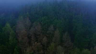 We do believe that there
is significant relevance - Murder in the Badlands