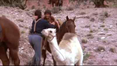 - We do good, huh, Clint?
- Yeah, you did just great. Just great. - One Little Indian