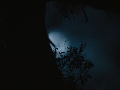 We don't fix them - The Nightingale