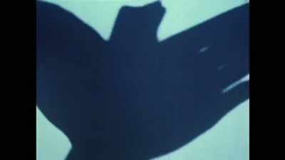 We don't go back because if we go back, - Woodlands Dark and Days Bewitched: A History of Folk Horror