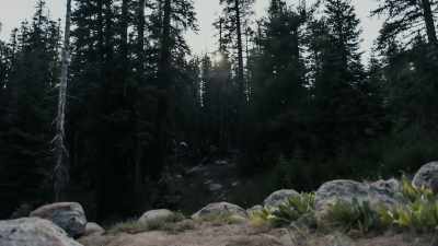 We don't know, we can only guess - Missing 411: The Hunted