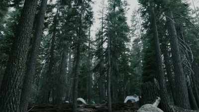 We don't unload
before you came into camp. - Missing 411: The Hunted