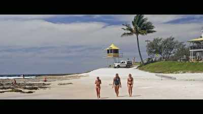 We don't want marine animals - Envoy: Shark Cull