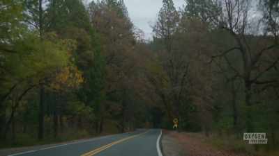 - We were driving up
and took a left-hand turn - Manifesto of a Serial Killer