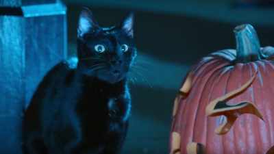 We figured out where
everything in the candy store went. - Scaredy Cats