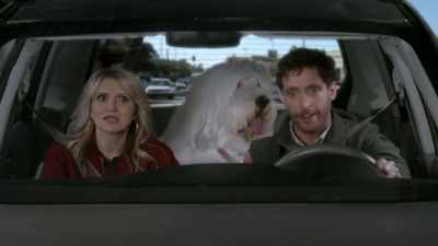 We find someone to take Cannoli
for a few weeks, - B Positive