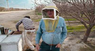We found a queen staggering out
in front of a hive. - The Pollinators
