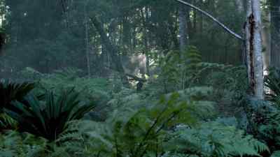 We found him. - Black Sails
