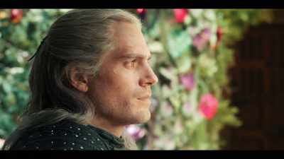 We found him in the brush, - The Witcher