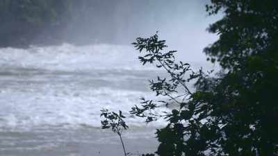 - We found out that he
frequented the river, - First Blood