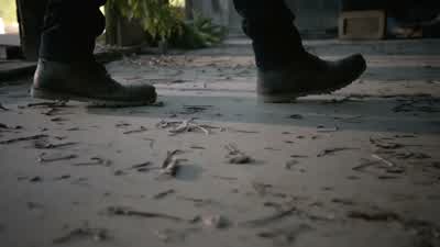 We found twelve bodies. - Teen Wolf
