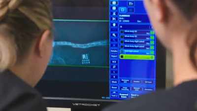 We get x-rays and one of
the first things I notice is - Secrets of the Zoo