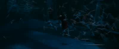 We go down the trap door. - Harry Potter and the Philosopher's Stone