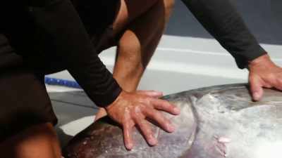  We got a healthy 110. - Deadliest Catch: Bloodline