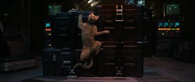 We got a stowaway. - Captain Marvel