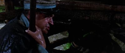 We got a yank in here - Journey to Shiloh