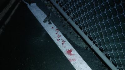 We got blood leading
into the yard. - 9-1-1