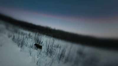 We got everything we need
in our land, and we've been - Life Below Zero: First Alaskans