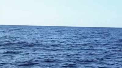 We got fish jumping
around the boat, - Deadliest Catch: Bloodline