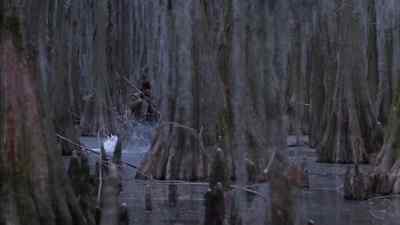 We got four bullets. - Southern Comfort