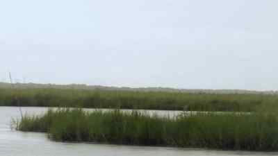 -We got this one right here.
-All right. - Swamp People