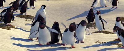 We got personality - Happy Feet