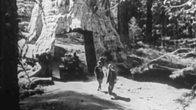 We got roads through
the National Parks. - The Cars That Made America