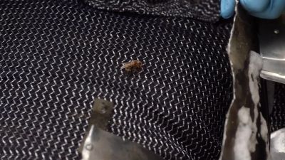We got another swarm coming in. - 9-1-1