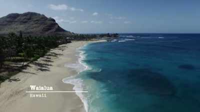 We got word, that
she was in Hawaii. - The Cult of The Family