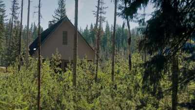 We gotta ask
certain questions - Lost Women of Highway 20