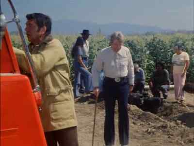 We gotta get these people
back to pickin' oranges. - Tarantulas: The Deadly Cargo
