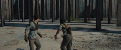 We gotta go!
Run, Thomas! - The Maze Runner