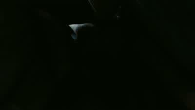 We gotta go. - Cloverfield