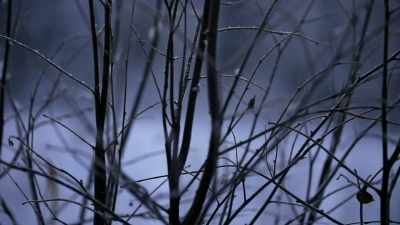 We gotta make it work or
we're gonna go hungry and - Life Below Zero: Next Generation