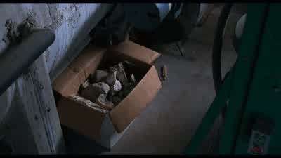 ...we had enough rocks saved up to keep him busy till rapture. - The Shawshank Redemption